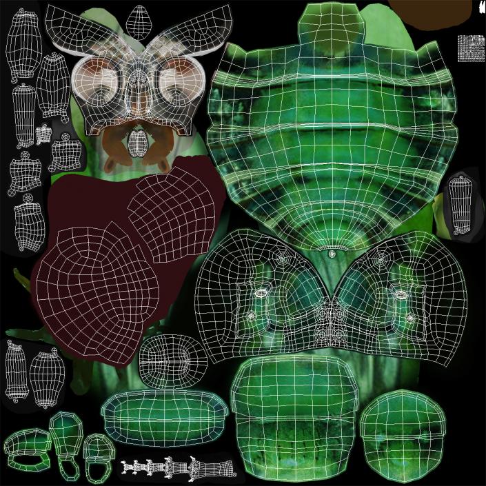 3D Green Bottle Fly Pose 2 model