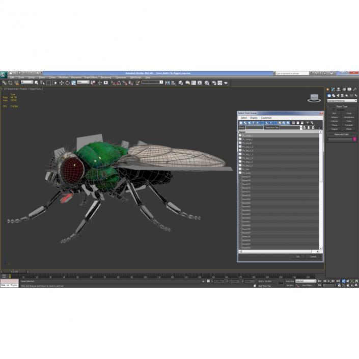 3D Green Bottle Fly Rigged model