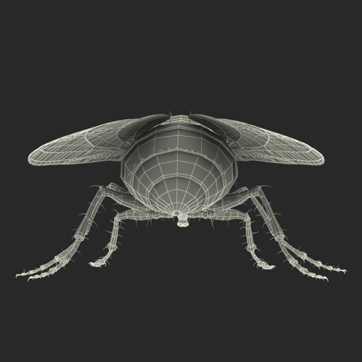 3D model Green Bottle Fly with Fur