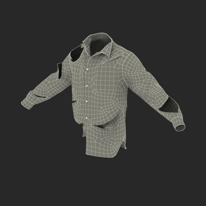 Bloody Shirt 3D