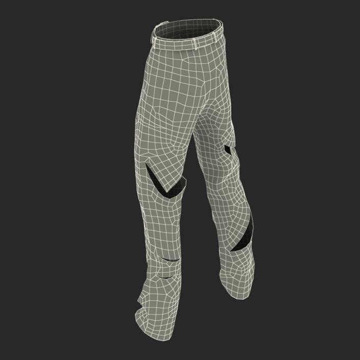 3D model Old Dirty Work Pants