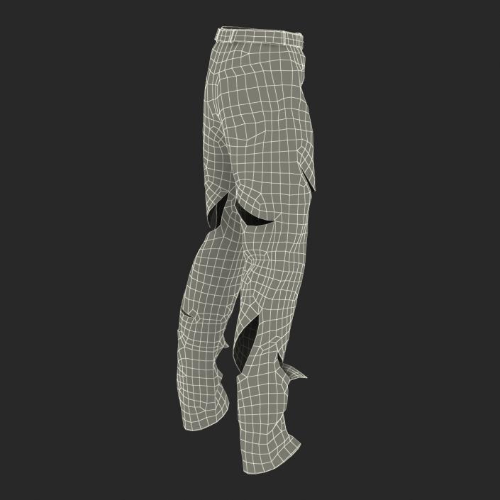 3D model Old Dirty Work Pants