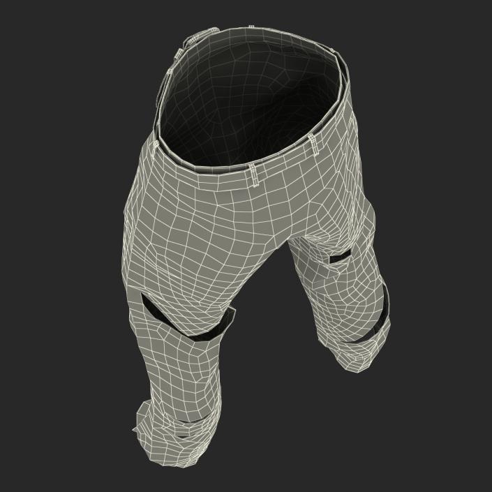 3D model Old Dirty Work Pants