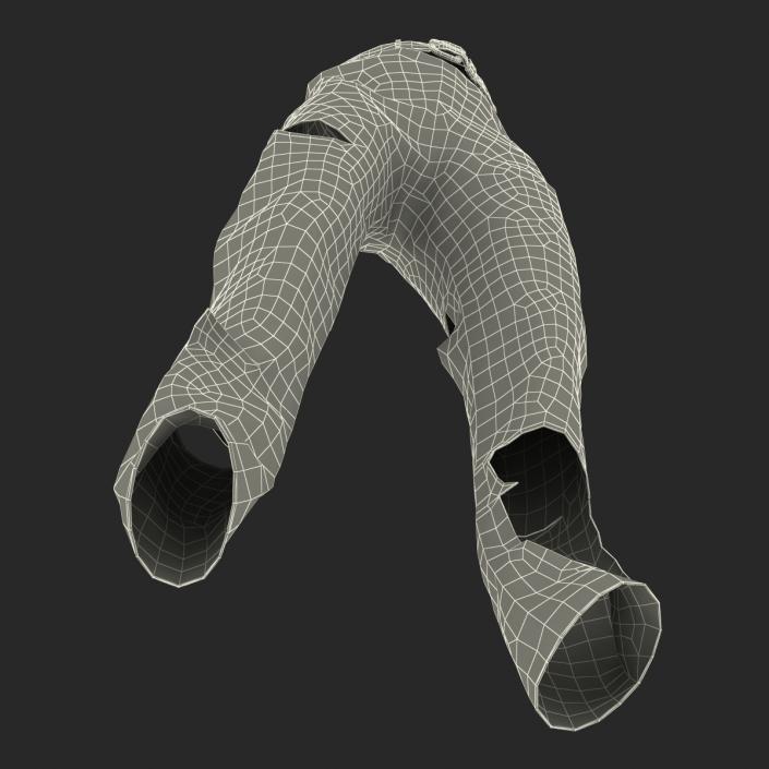 3D model Old Dirty Work Pants