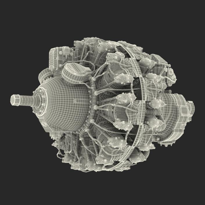 3D Radial Engine Pratt and Whitney R-2800 model