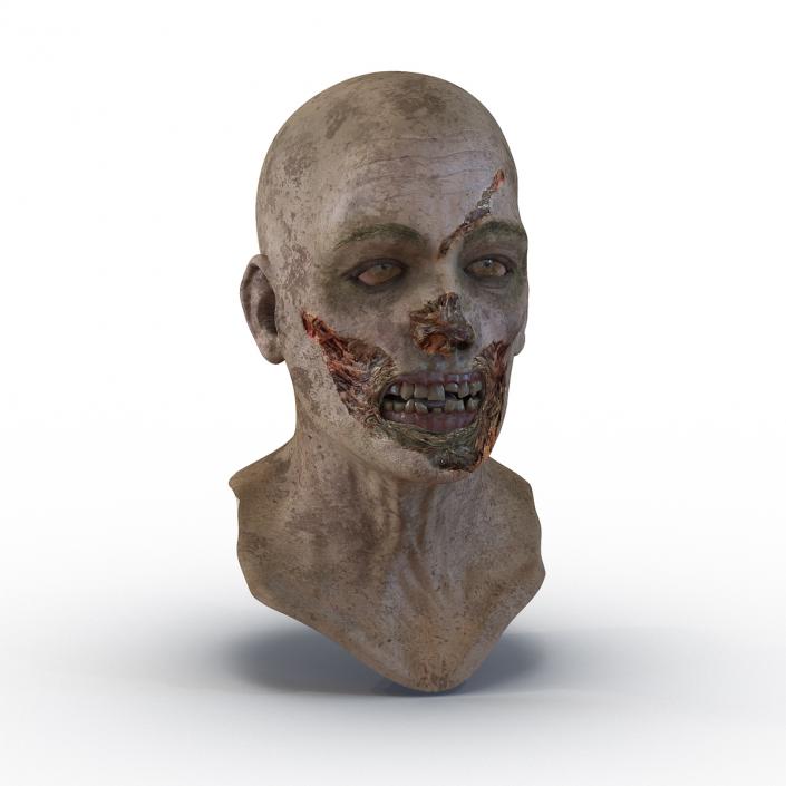 3D Zombie Head