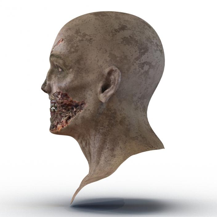 3D Zombie Head