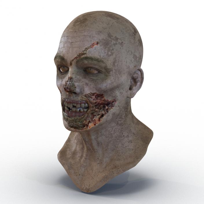 3D Zombie Head