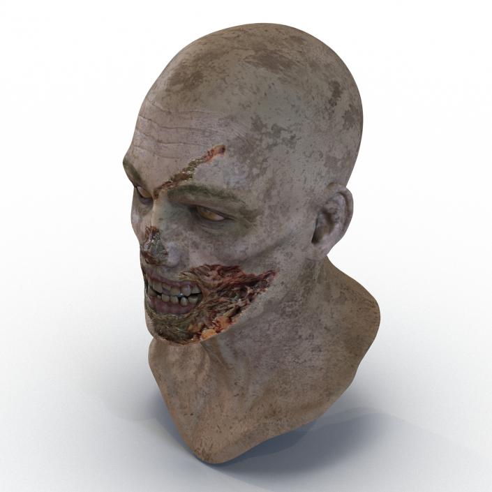 3D Zombie Head