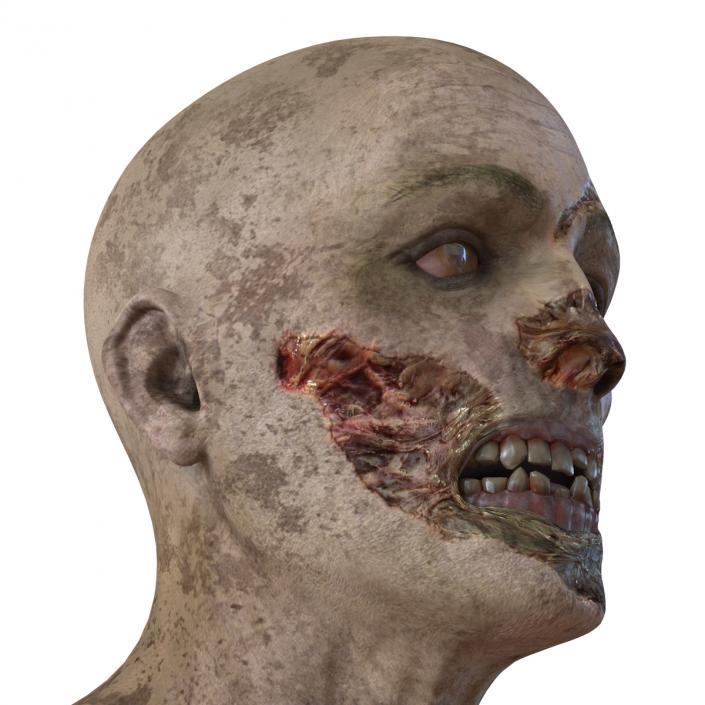 3D Zombie Head