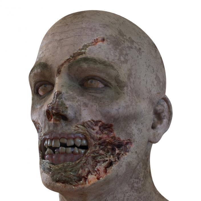 3D Zombie Head