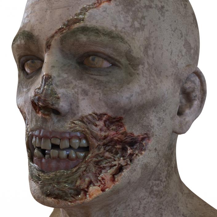 3D Zombie Head