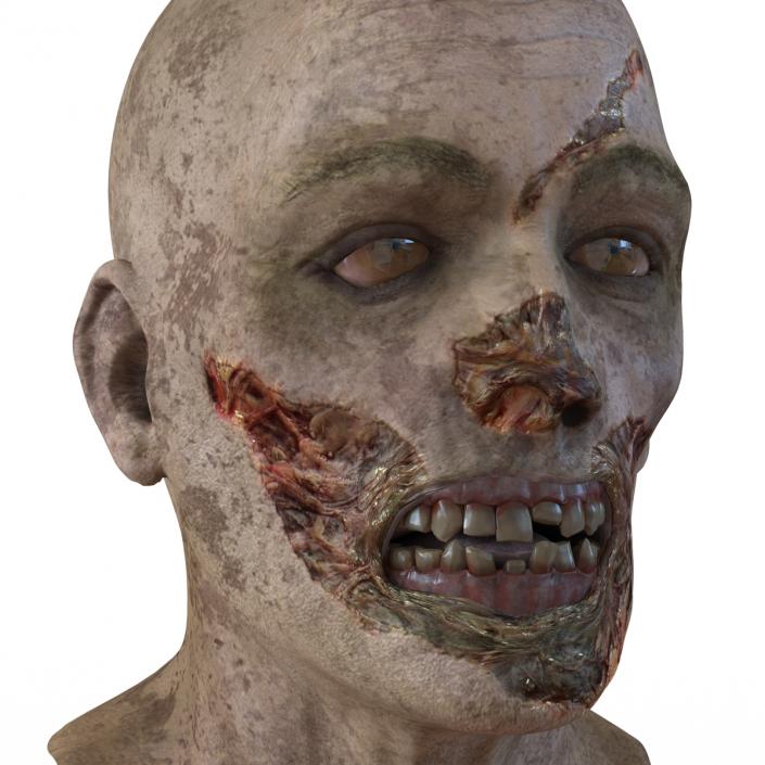 3D Zombie Head