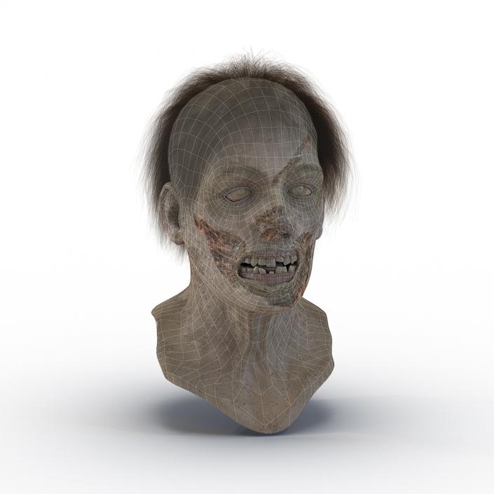 3D model Zombie Head 3D Model with Hair