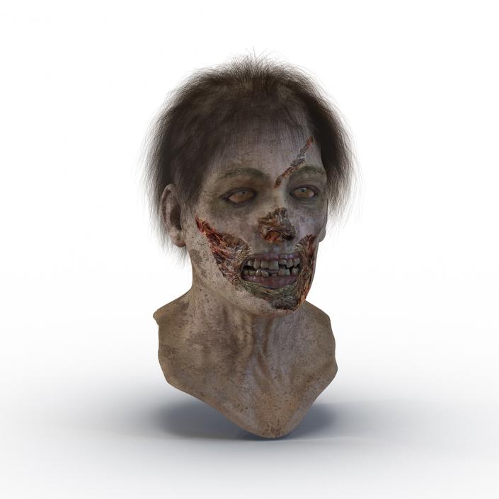 3D model Zombie Head 3D Model with Hair