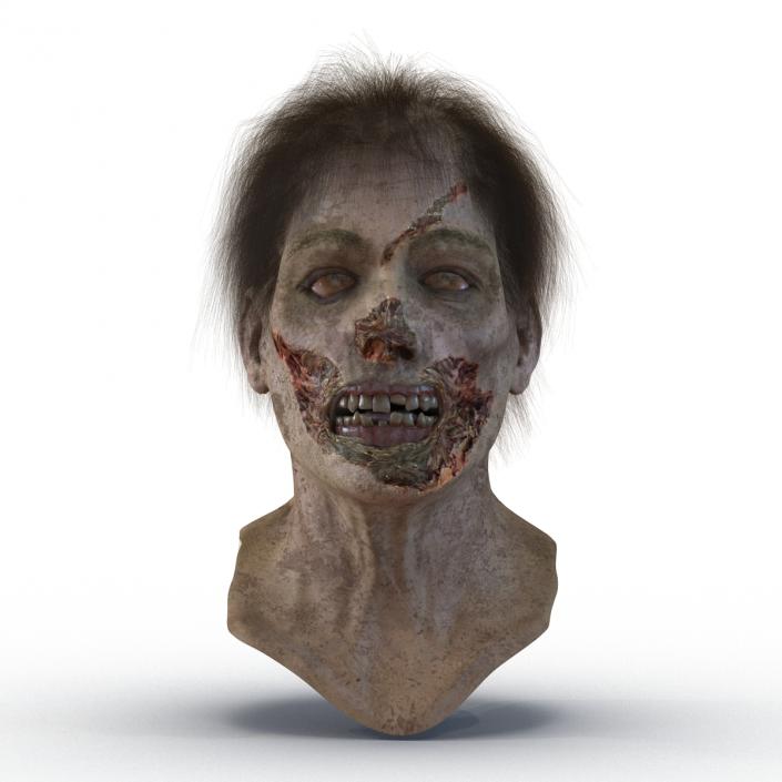 3D model Zombie Head 3D Model with Hair