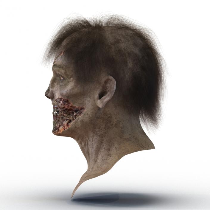 3D model Zombie Head 3D Model with Hair