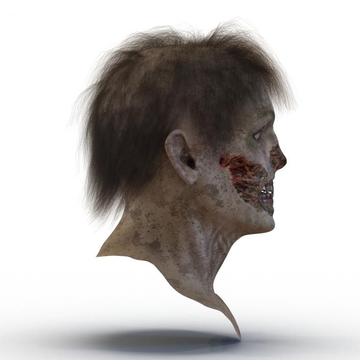 3D model Zombie Head 3D Model with Hair