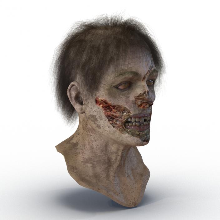 3D model Zombie Head 3D Model with Hair