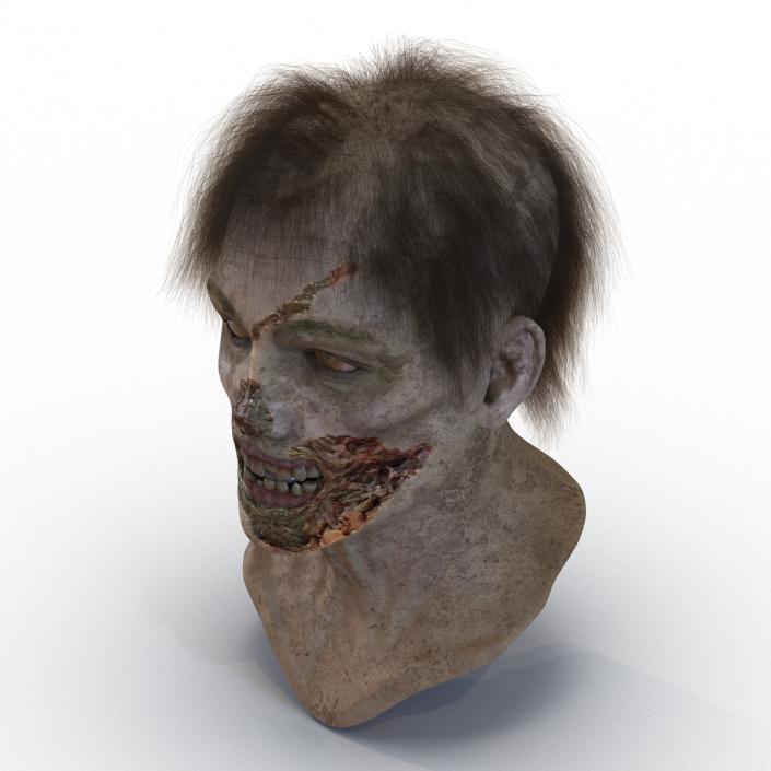 3D model Zombie Head 3D Model with Hair