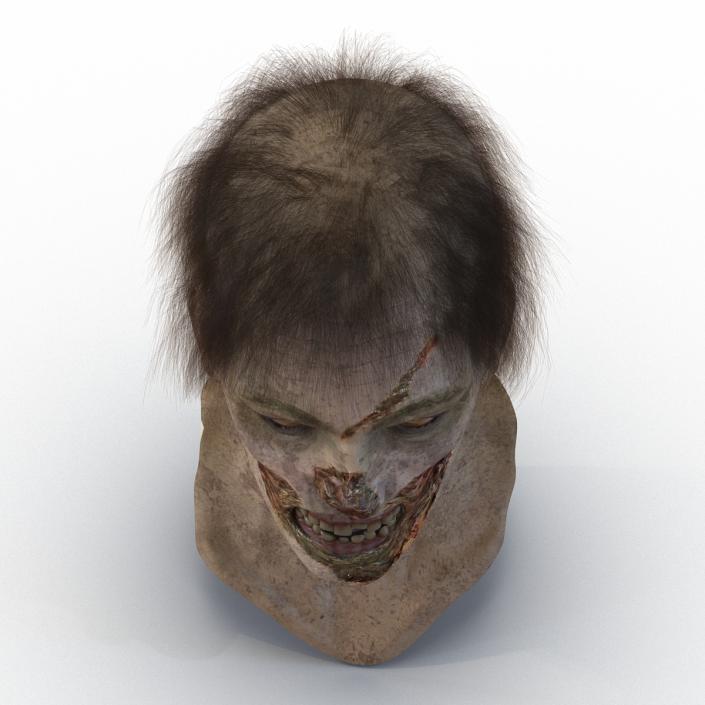 3D model Zombie Head 3D Model with Hair