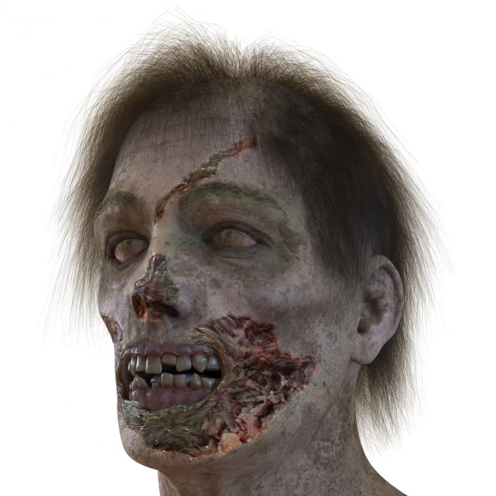 3D model Zombie Head 3D Model with Hair