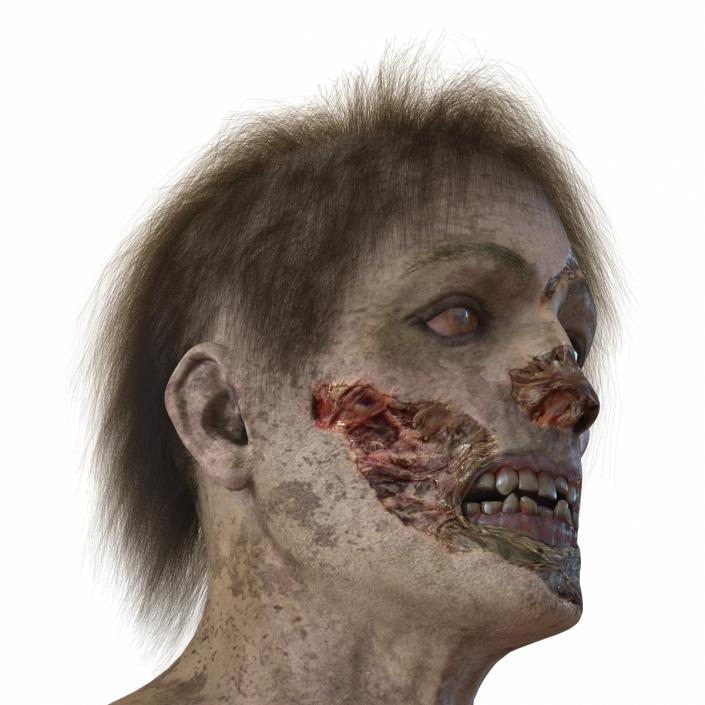 3D model Zombie Head 3D Model with Hair