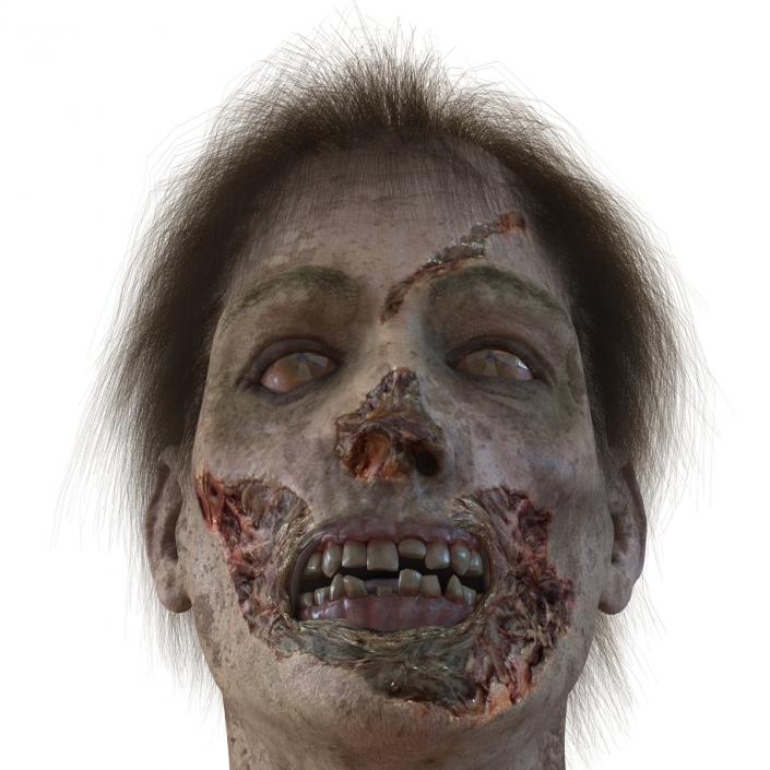 3D model Zombie Head 3D Model with Hair