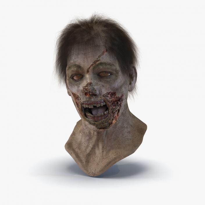 Zombie Head 3D Model with Hair Rigged 3D