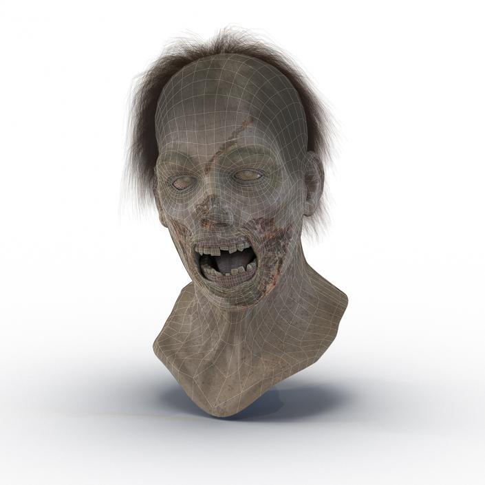 Zombie Head 3D Model with Hair Rigged 3D