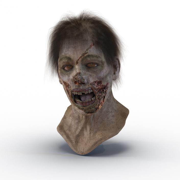 Zombie Head 3D Model with Hair Rigged 3D