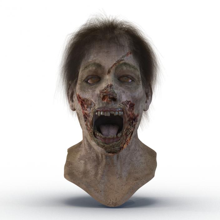 Zombie Head 3D Model with Hair Rigged 3D