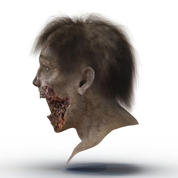 Zombie Head 3D Model with Hair Rigged 3D