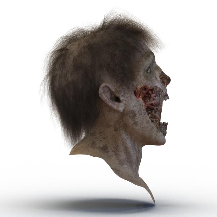 Zombie Head 3D Model with Hair Rigged 3D