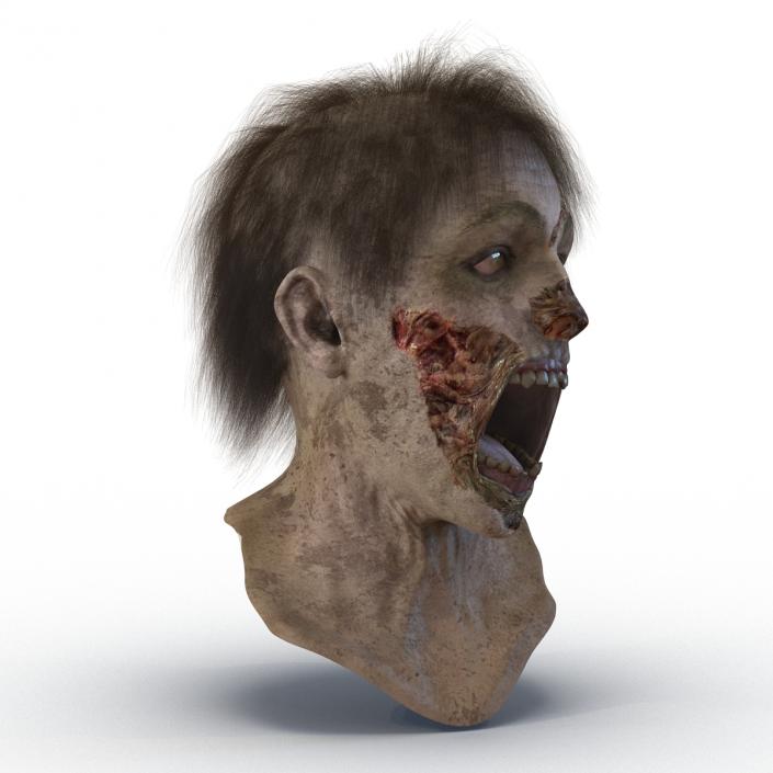 Zombie Head 3D Model with Hair Rigged 3D