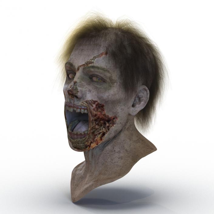 Zombie Head 3D Model with Hair Rigged 3D