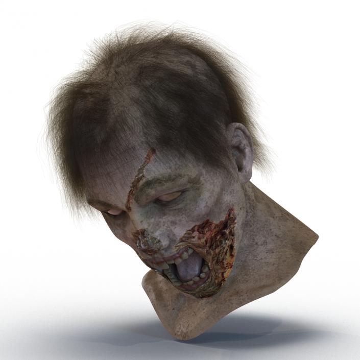 Zombie Head 3D Model with Hair Rigged 3D