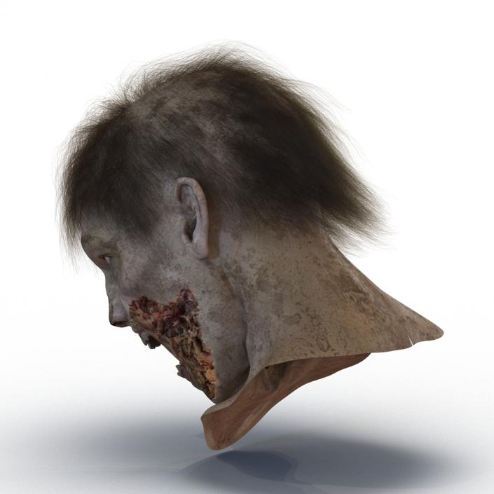 Zombie Head 3D Model with Hair Rigged 3D