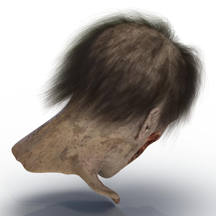 Zombie Head 3D Model with Hair Rigged 3D