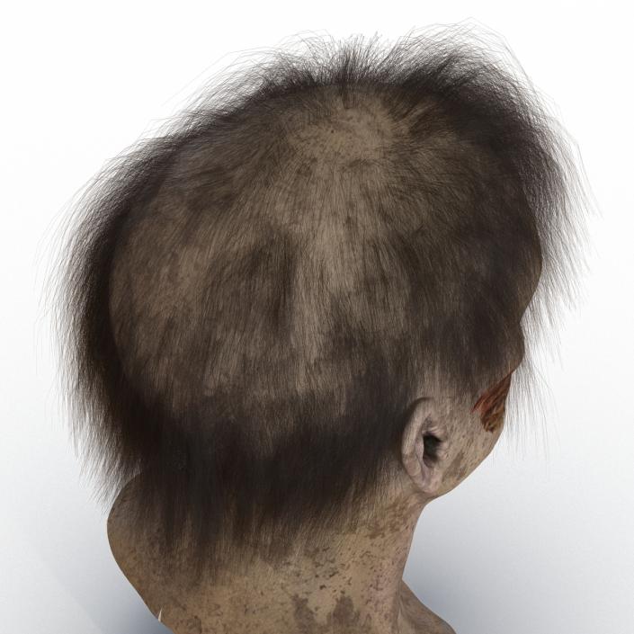 Zombie Head 3D Model with Hair Rigged 3D