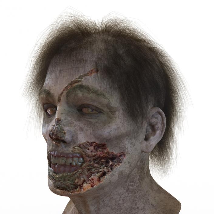 Zombie Head 3D Model with Hair Rigged 3D