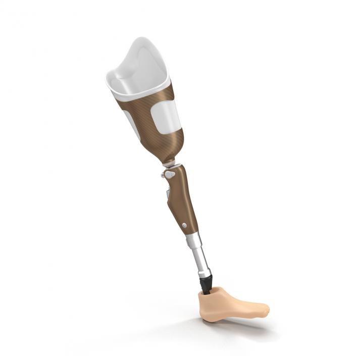 3D Prosthetic Leg Rigged