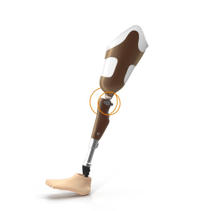 3D Prosthetic Leg Rigged