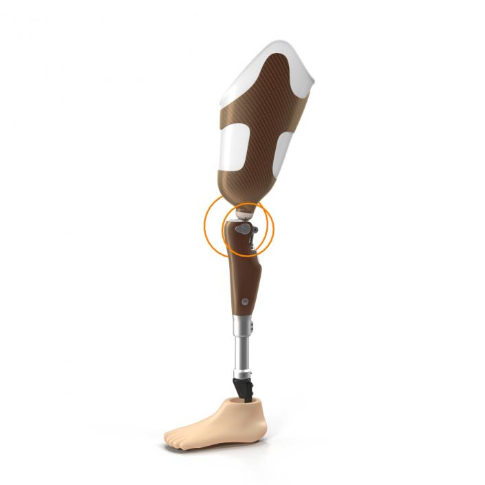 3D Prosthetic Leg Rigged