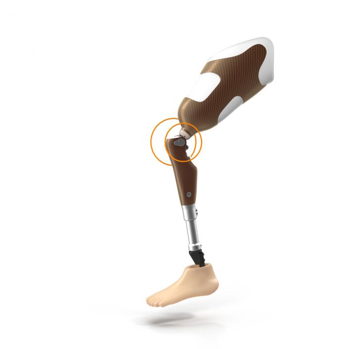 3D Prosthetic Leg Rigged