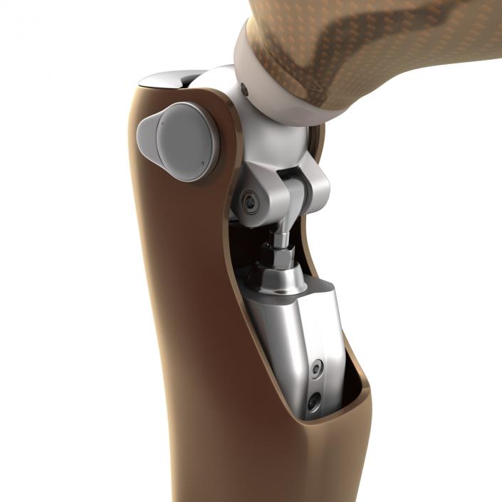 3D Prosthetic Leg Rigged