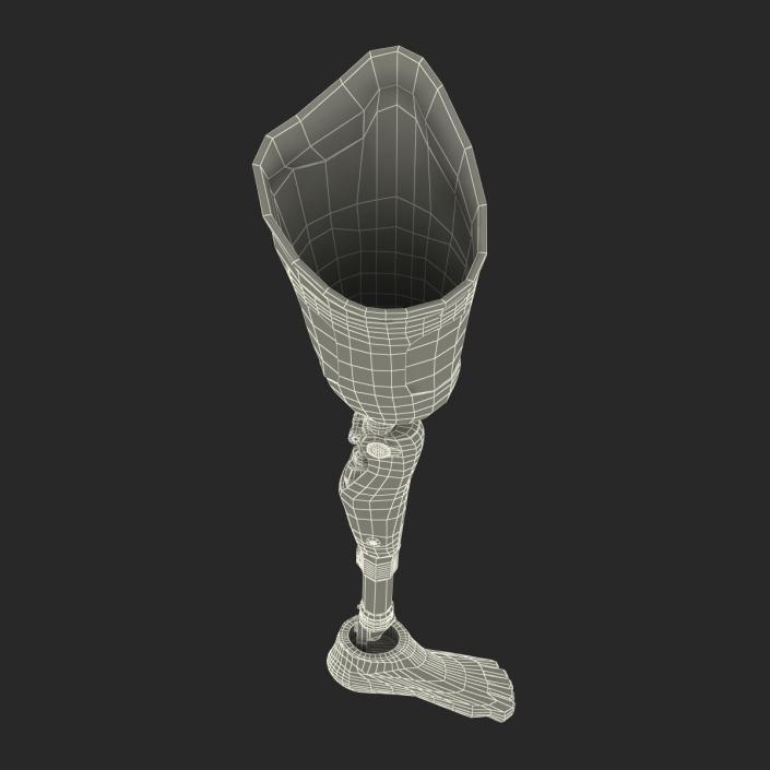 3D Prosthetic Leg Rigged