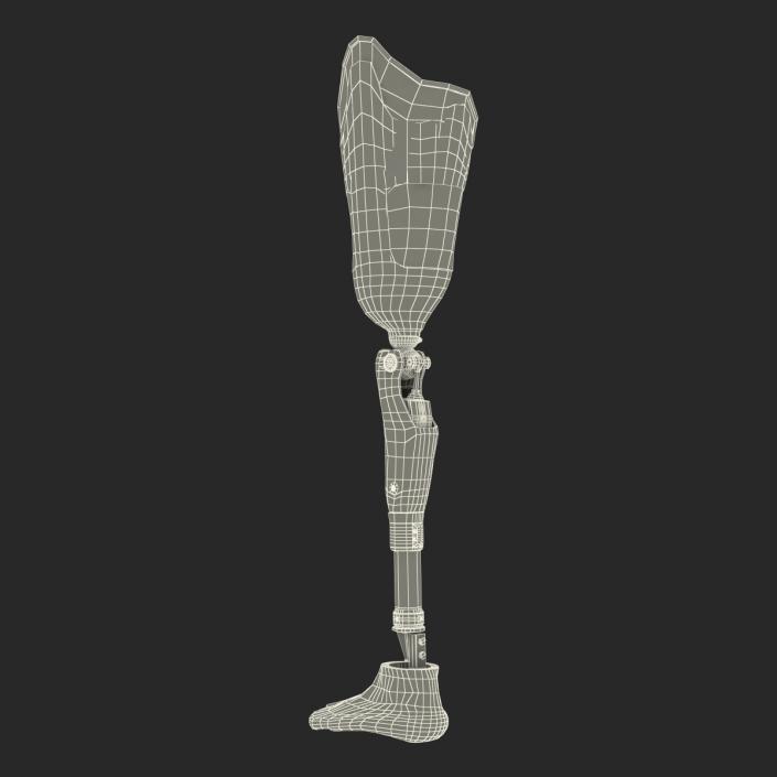 3D Prosthetic Leg Rigged