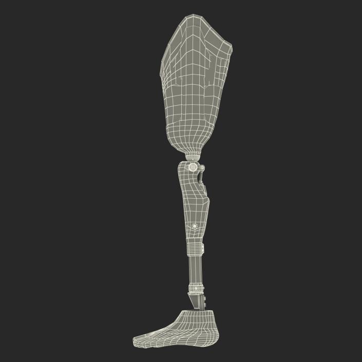 3D Prosthetic Leg Rigged