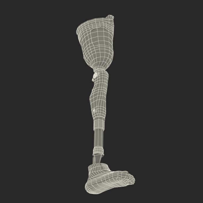 3D Prosthetic Leg Rigged